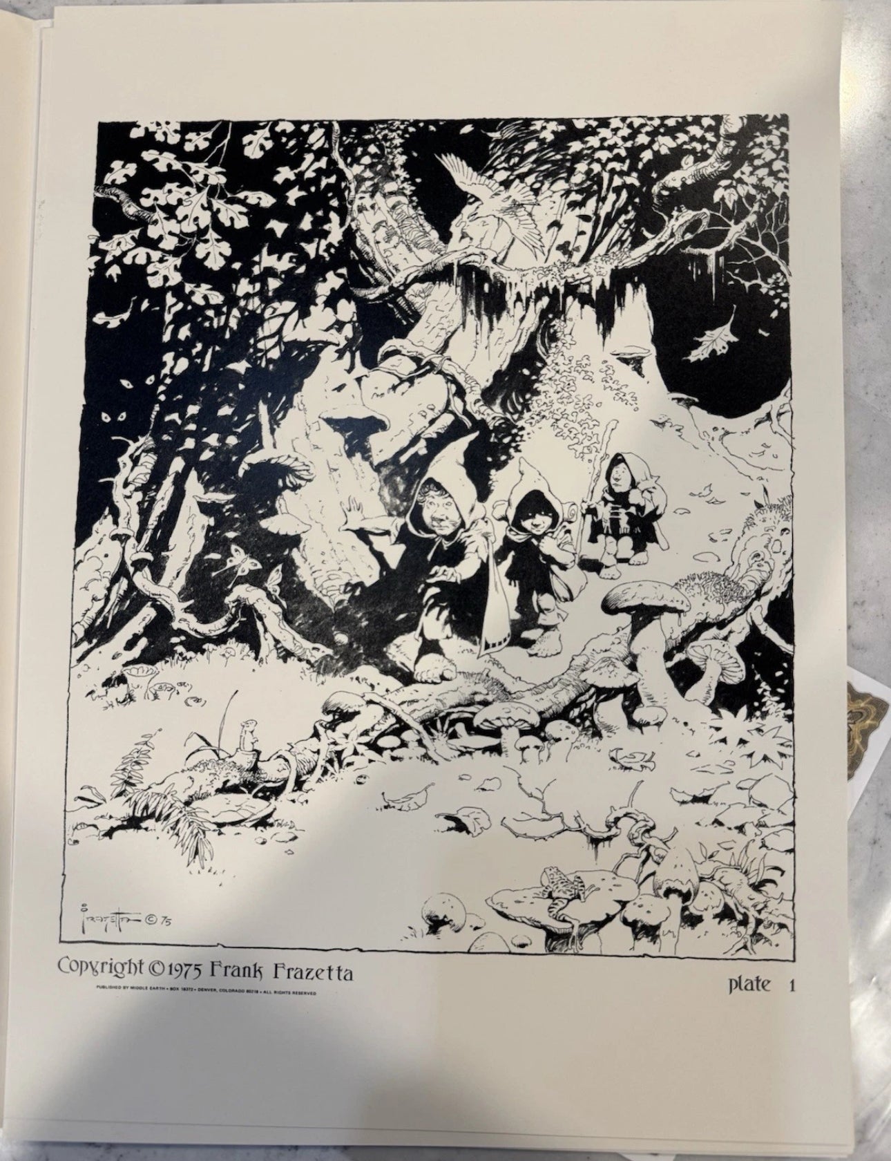 FRAZETTA LORD OF THE RINGS PORTFOLIO 785/1000 With COA