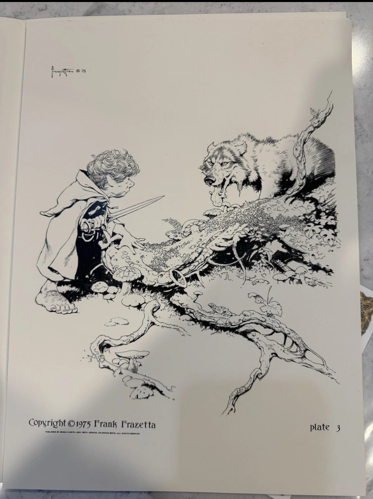 FRAZETTA LORD OF THE RINGS PORTFOLIO 785/1000 With COA