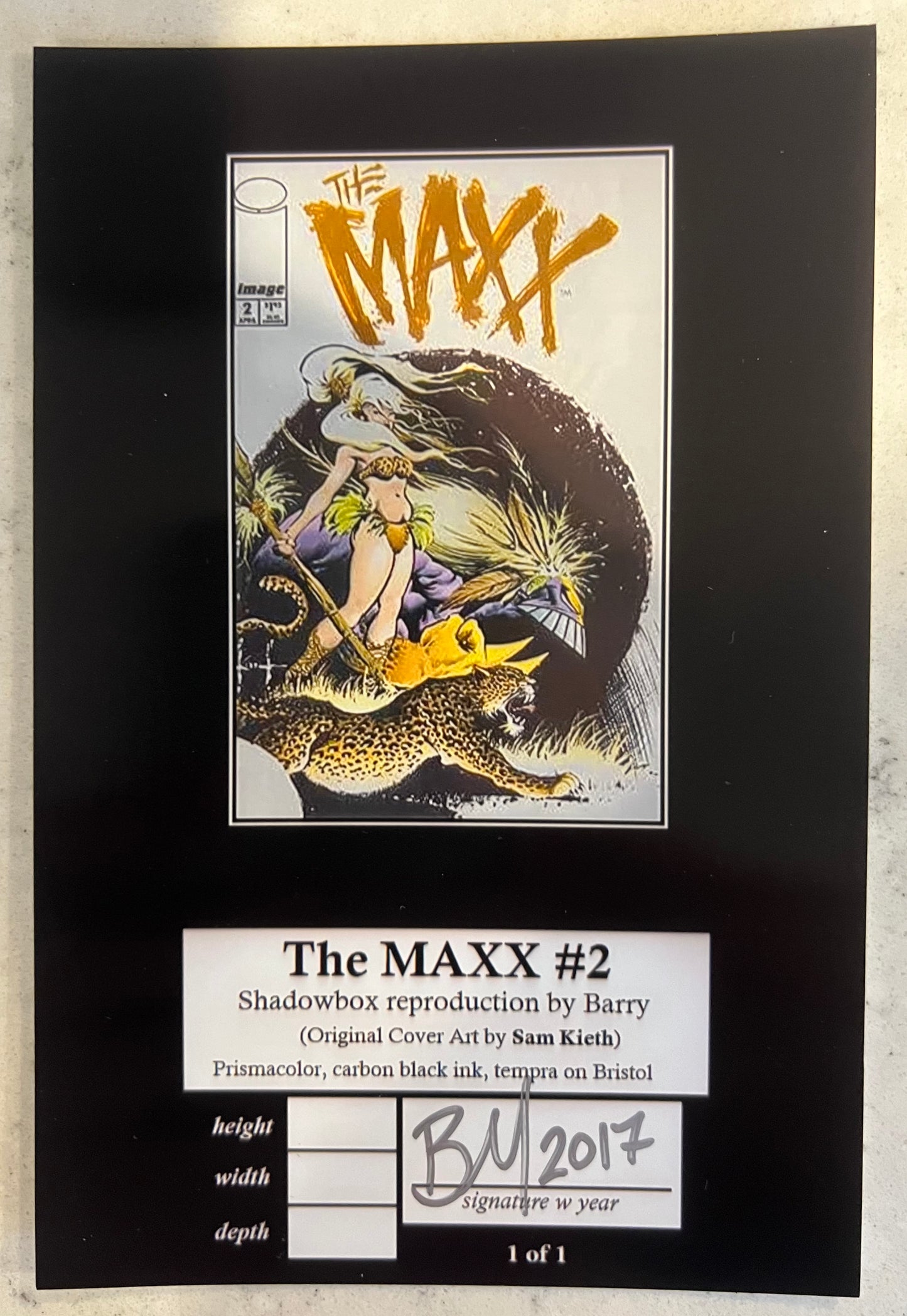 The Maxx Shadowbox by Barry (A One of a Kind Shadowbox Art)