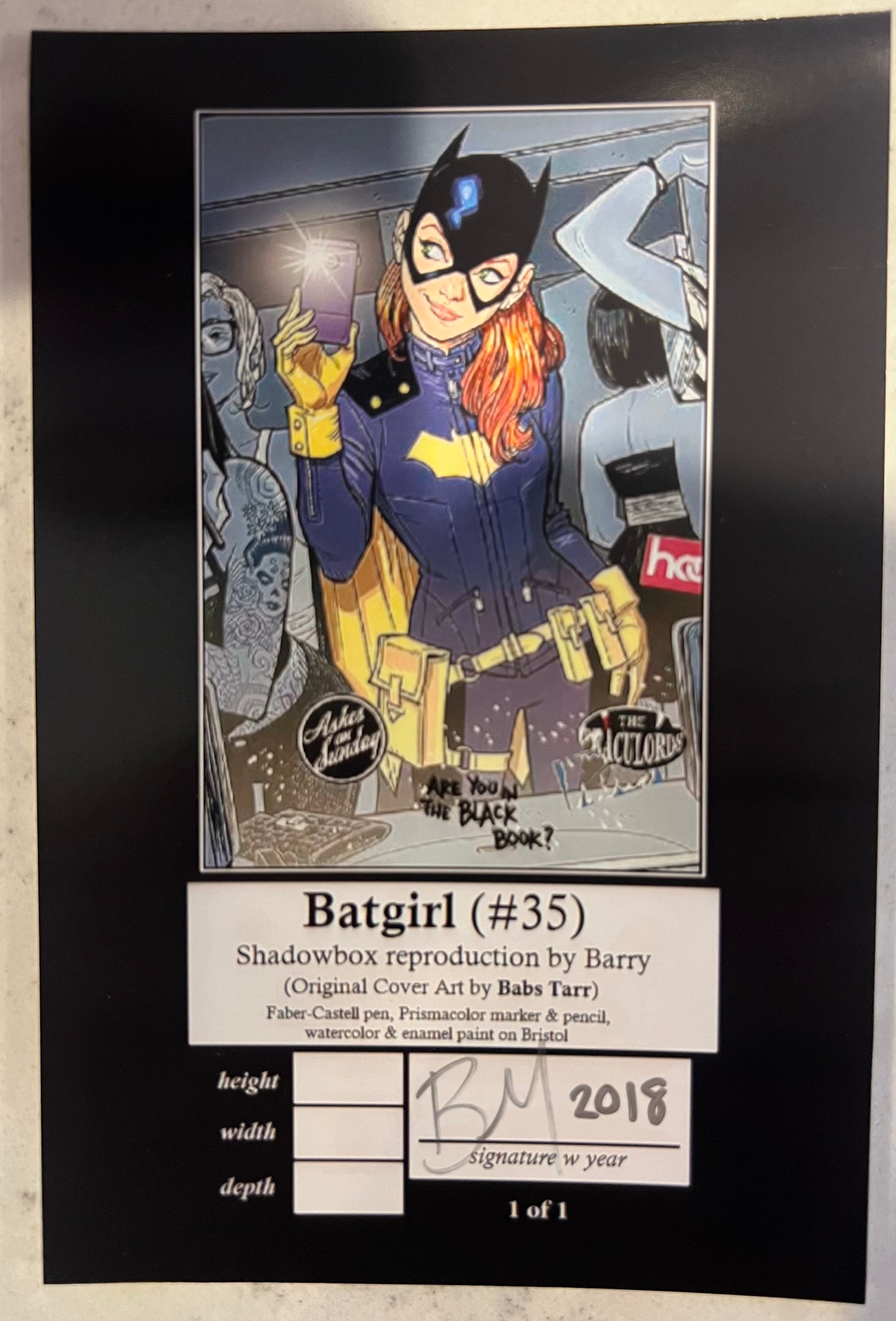 Batgirl Shadowbox by Barry (A One of a Kind Shadowbox Art)