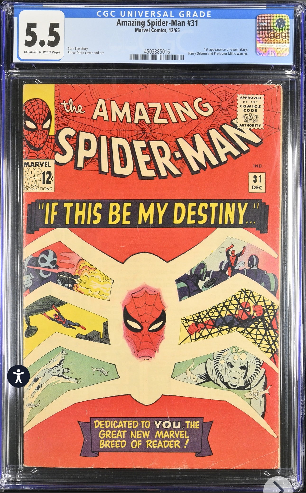 Amazing Spider-Man #31 CGC 5.5 (Marvel, 1965) 1st Appearance of Gwen Stacy