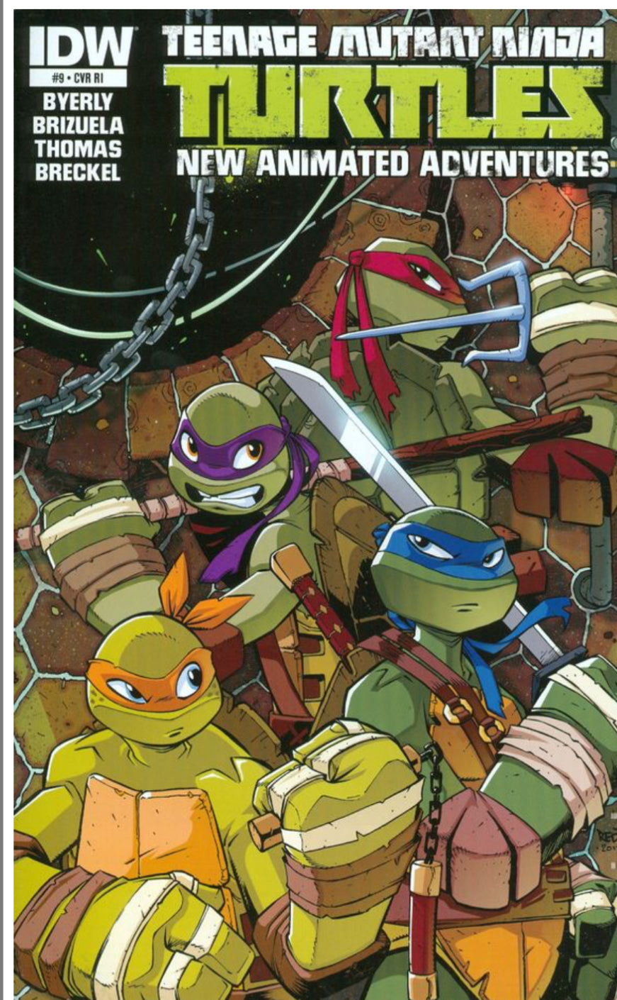 Teenage Mutant Ninja Turtles New Animated Adventures Vol. 1 (One of A Shadowbox Art)